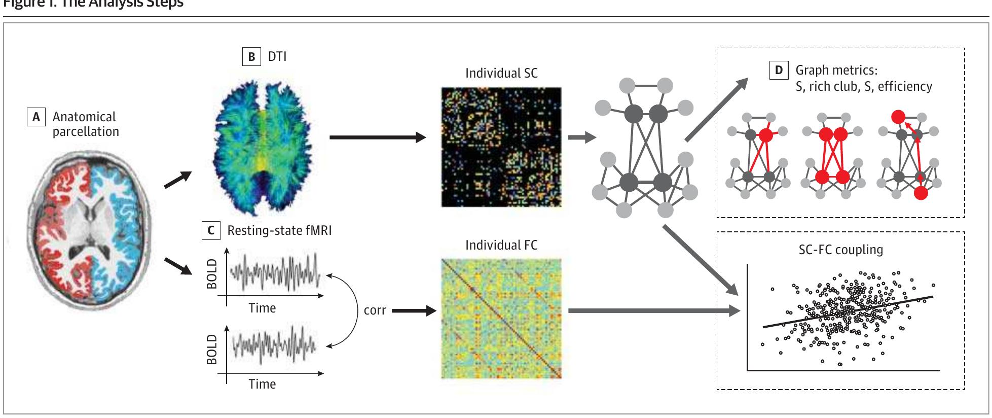 (PDF) Abnormal Rich Club Organization and Functional Brain Dynamics in ...