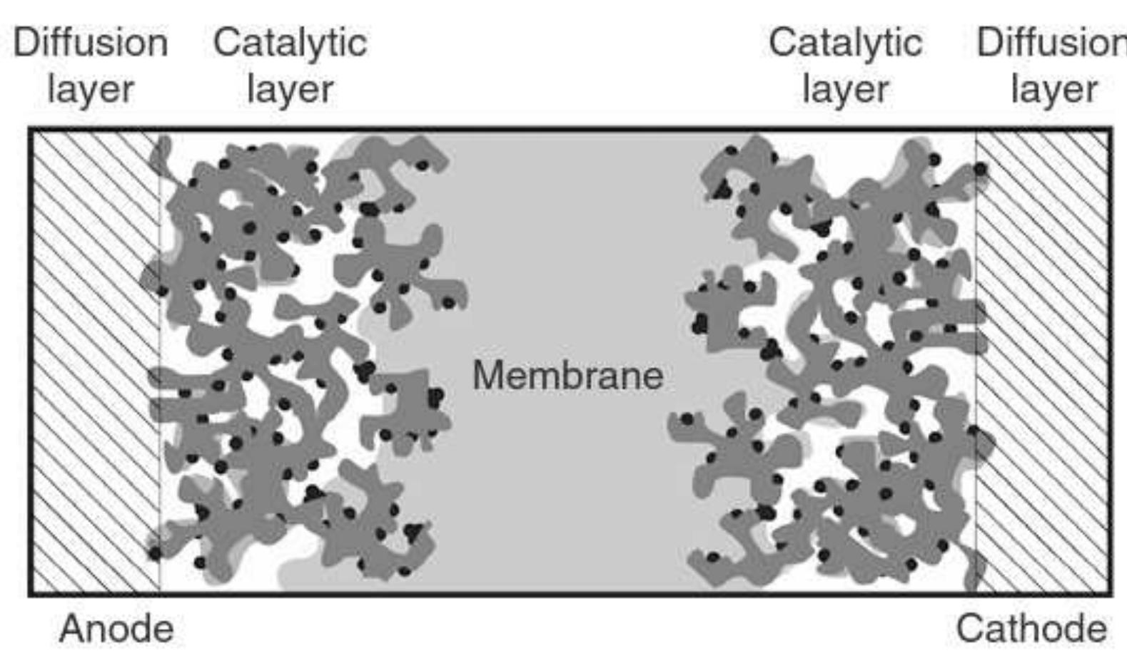 1: schematic representation of a membrane-electrode assembly