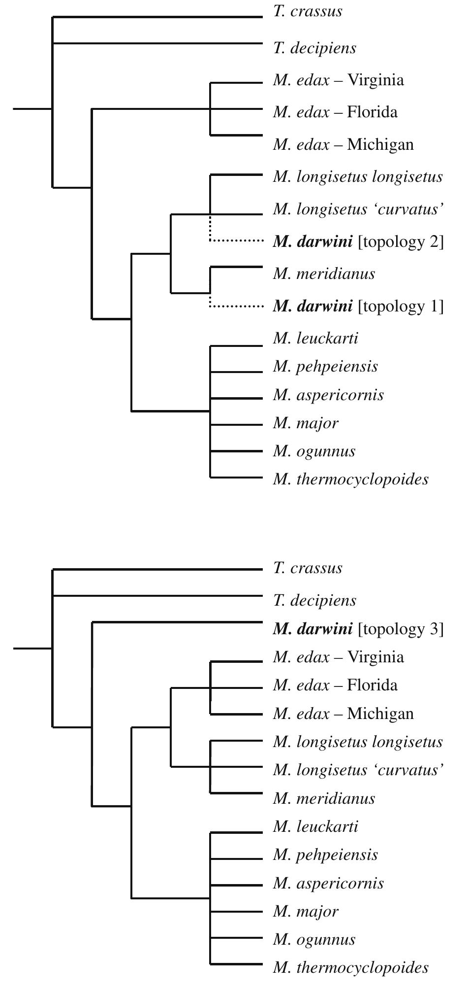 (PDF) Phylogeny of the freshwater copepod Mesocyclops (Crustacea ...