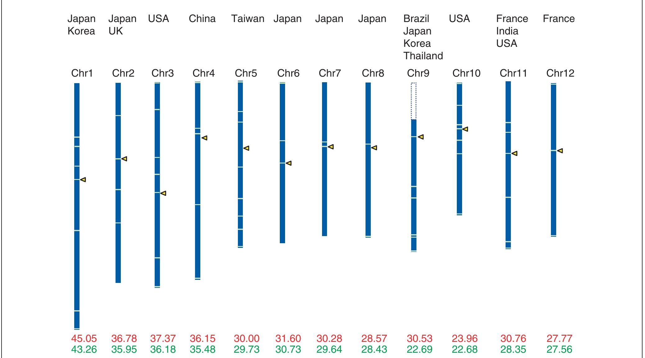 (PDF) Decoding the rice genome