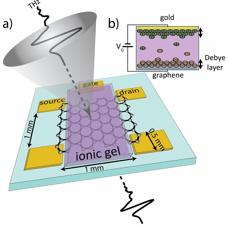 (a) schematic of the graphene sample on a substrate with