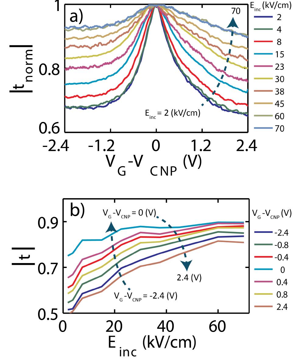 (a) schematic of the graphene sample on a substrate with