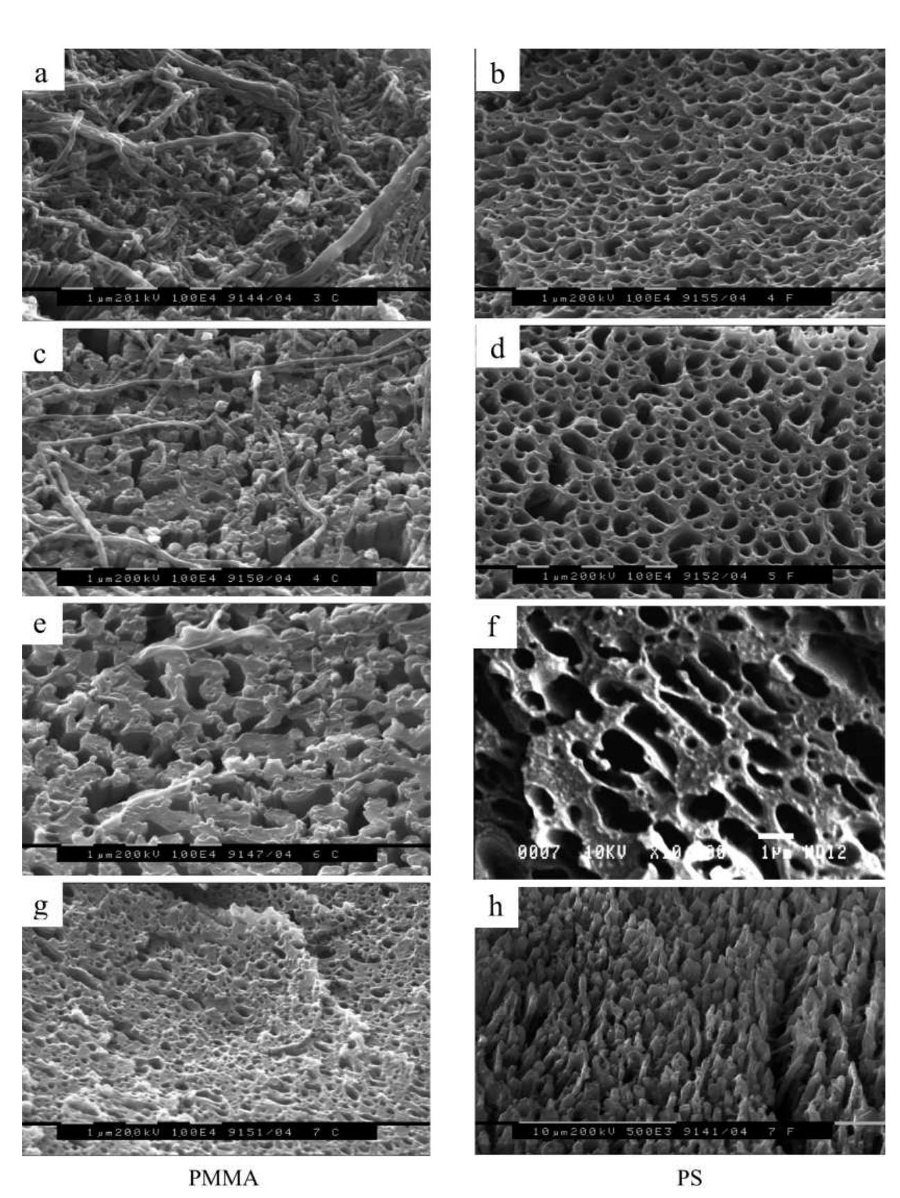 Sem images of the pmma phase after ps extraction and the ps
