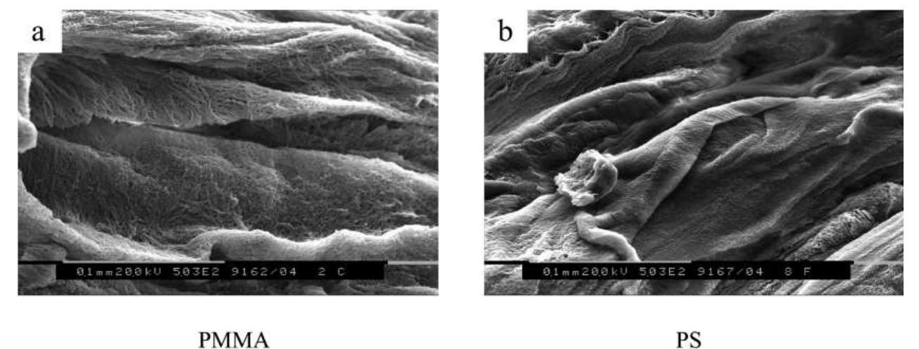 Sem images of the pmma phase after ps extraction and the ps