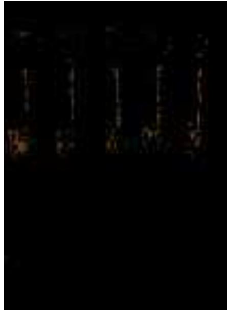 Figure 5: Two frames from Begone Dull Care. The pictures appear along with the drums. Print screen. 