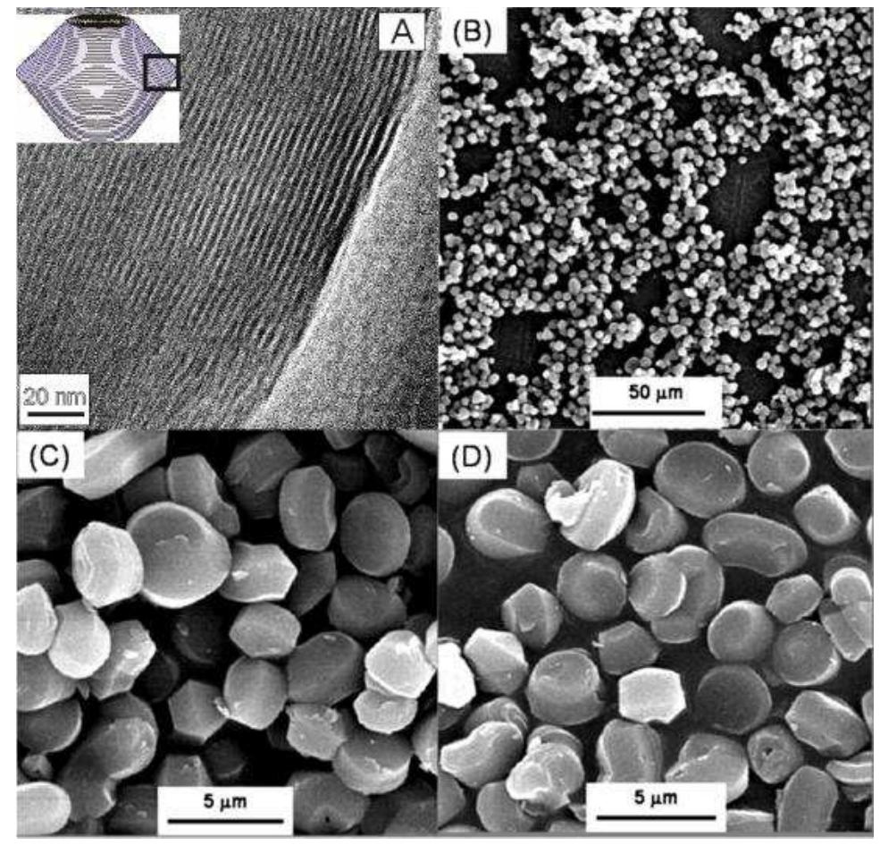 (PDF) Self-Healing Epoxy Composites Based on the Use of Nanoporous ...