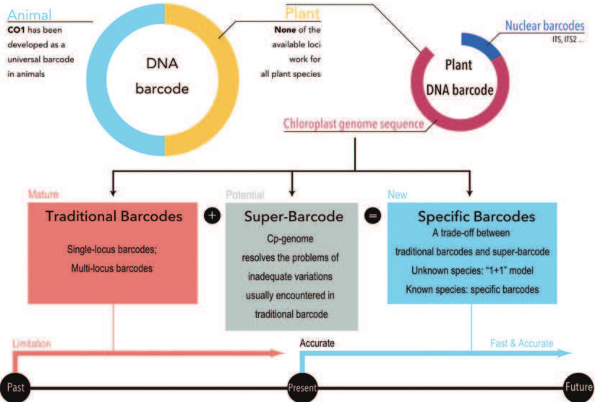 Schematic timeline of plant barcoding history and possible