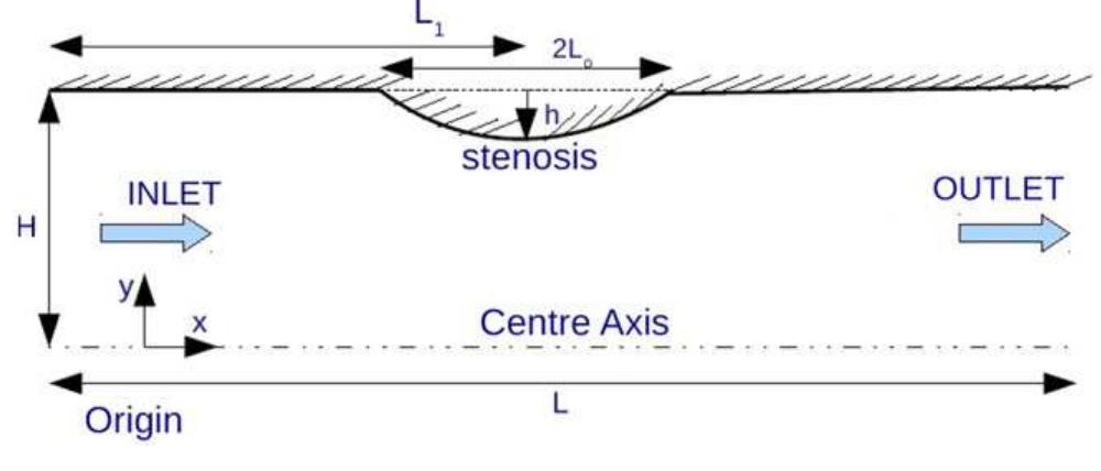 (PDF) Pulsatile flow of a shear-thinning model for blood through a two ...