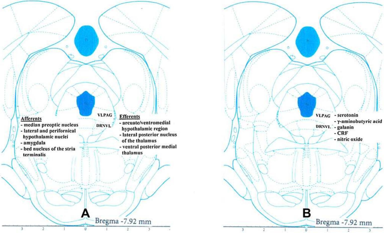 (PDF) The structure of the dorsal raphe nucleus and its relevance to ...