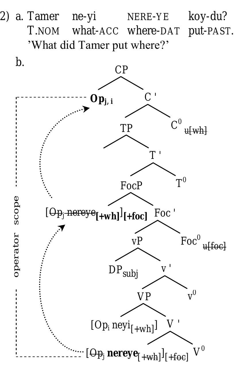 a  Considering the movement effects exhibited by wh-in-situ and its close relationship with focus, I suggest that focus interacts with wh-in-situ in overt syntax in Turkish.’ In particular, I propose that the contrast between (11)b and (d) can be accounted for if we assume a syntactic licenser for focus in the low IP area. Following Belletti (2004), I assume a low Focus Projection (FocP) above vP in Turkish where focused elements including focused wh-phrases are licensed. Now, to see the derivation of the pattern with grammatical multiple wh-construction we have seen in (11)b, consider (12)°: 