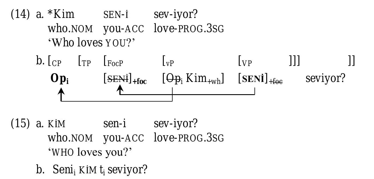 The ungrammaticality of the single wh-construction (11)a, exemplified in (10)a and repeated in (14)a below, can also be accounted for by the proposed analysis. As shown in 14)b, Foc” attracts a copy of the DP seni ‘you’, as this is the phrase that carries the focus feature. After feature deletion applies, the [+foc] feature of the item is retained at the higher copy. At the point where the interrogative C° merges with the structure, the operator of the subject wh-phrase is attracted to Spec,CP because it is the closest phrase with the [+wh] feature. The question, then, is what prevents the licensing of wh-in-situ. Beck (1996), Beck and Kim (1997), and Kim (2002), among others, propose that intervening quantifiers and focus phrases block the licensing of wh-in-situ in languages such as German, Korean and Japanese. It seems that the [+foc] feature in Spec,FocP in (14) introduces a similar intervention effect in Turkish as well. Although a detailed analysis of intervention effects in Turkish is needed, here we can say that the intervention effect in question could follow from a violation of Rizzi’s (1990) relativized minimality, according to which the intervener +foc] feature in Spec,FocP can be regarded as the potential antecedent governor to the trace/copy of the null wh-operator that moves to Spec,CP, thereby yielding a Minimality violation. Notice that the intervention effect disappears if the subject wh-phrase is focused, as shown in (15):   On the other hand, if the pattern in (11)a is ungrammatical because of the intervention effect induced by the [+foc] feature in Spec,FocP, the pattern in (11)c, exemplified in (10)c and repeated in (16), raises a question. The question is why the focused object DP in this sentence does not introduce intervention effects although it does when it follows the wh- phrase as we have seen in (10)a/(14). First, as can be observed from (17), the scrambled object DP seni ‘you’ contrasts with other referents in the context set. Therefore, (10)c/(16) can be uttered only when there is such a contrast in the context: 