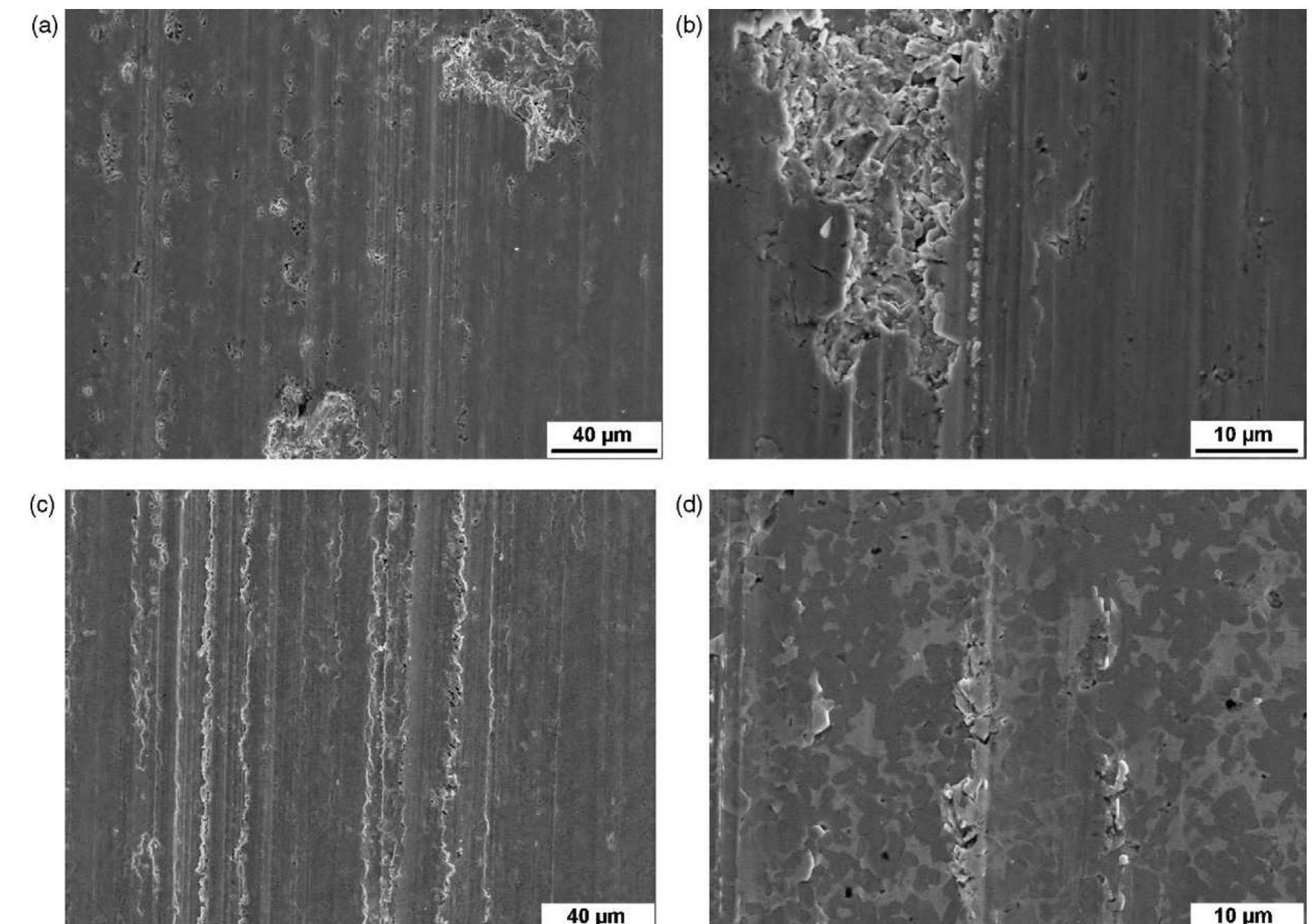 Sem images of worn surfaces after abrasion testing: (a and