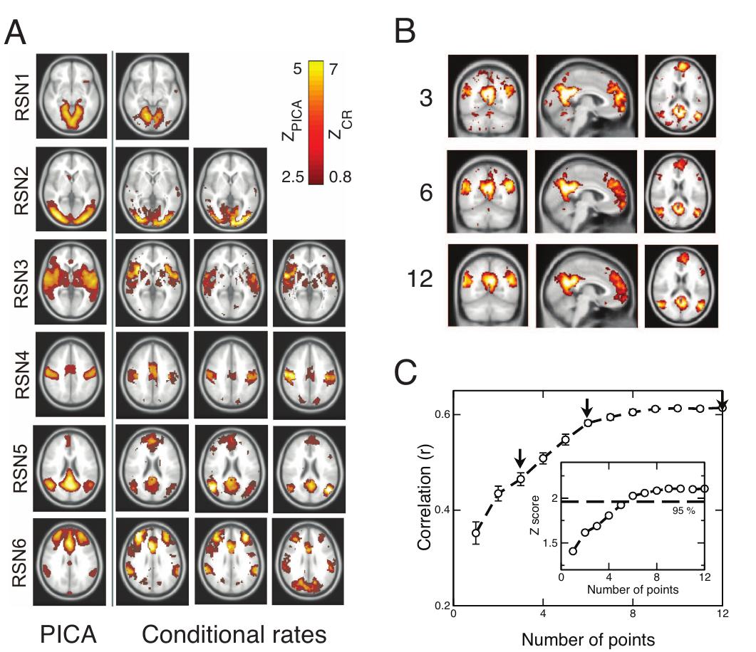 Clusters spread throughout the brain as scale-free