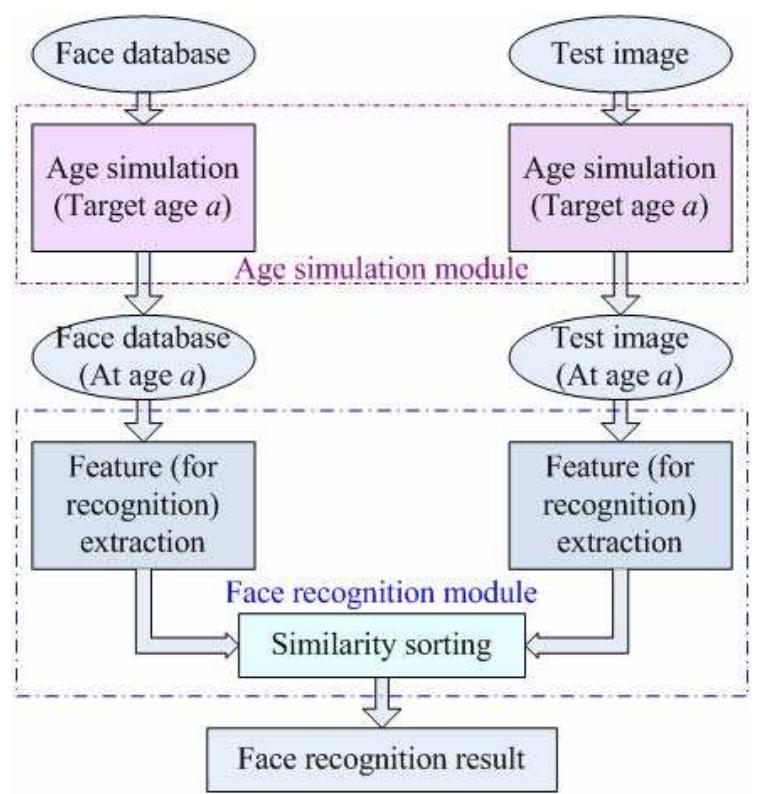 (PDF) Age simulation for face recognition