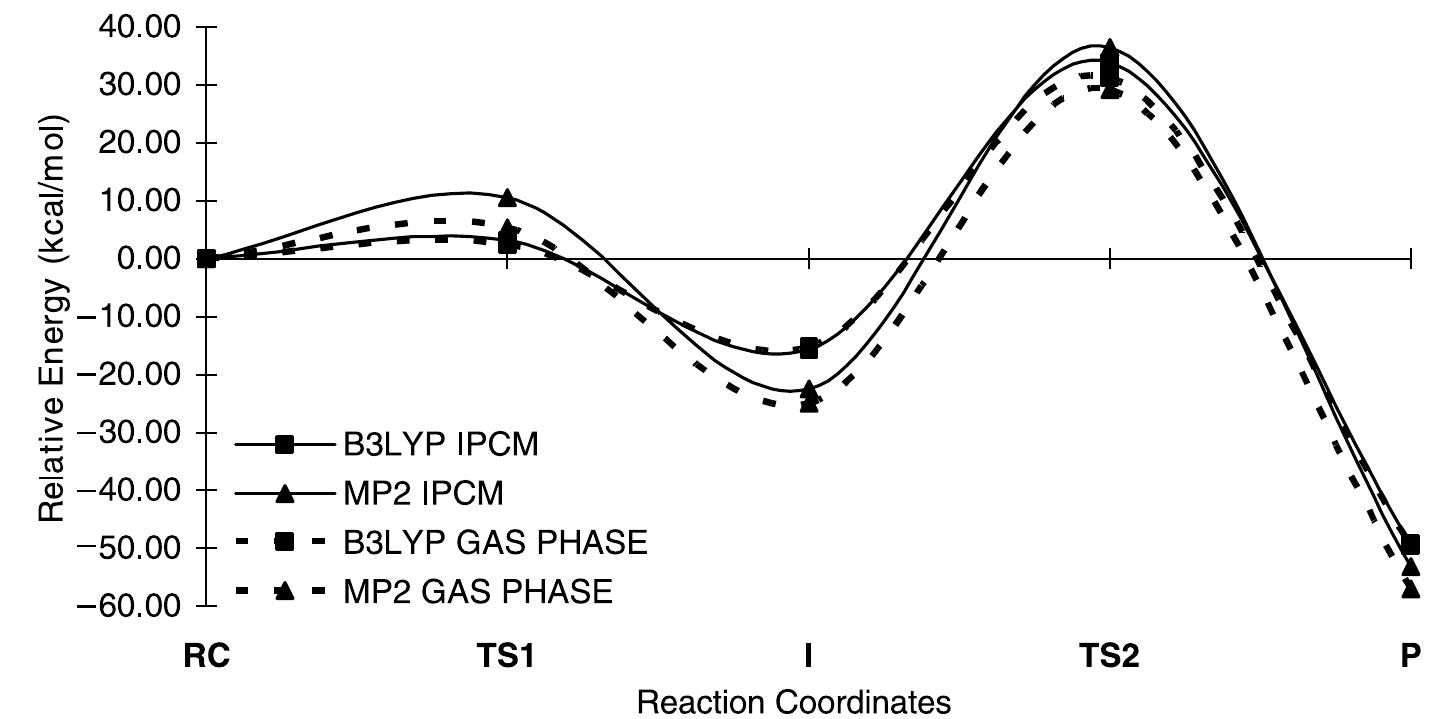 Schematic potential energy diagram showing the relative