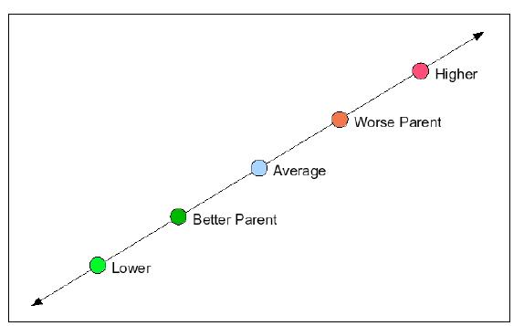 Fig. 2 The double shot operator generates three children: the average, a point outside
the worse parent (higher), and a point outside the better parent (lower), the latter two
points are a distance from the average equal to the distance between their parents.
 Double Shot Operator
