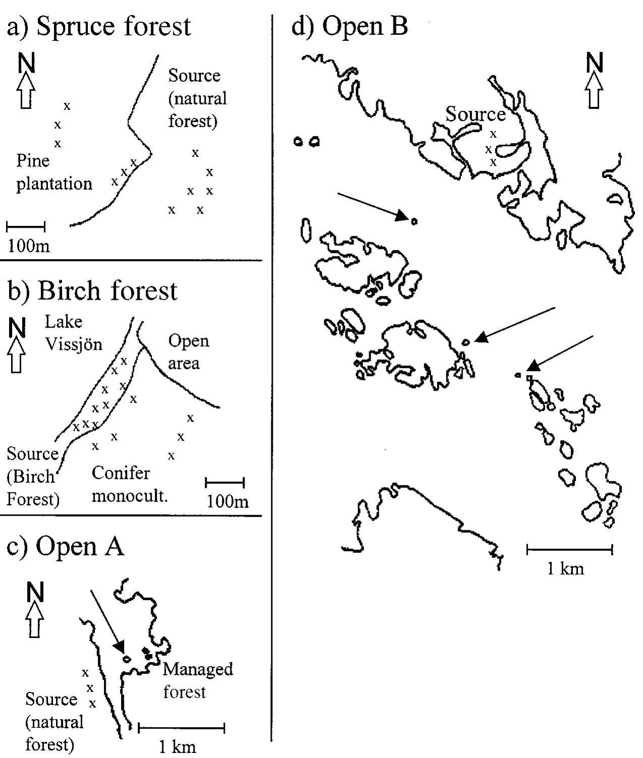 (PDF) Colonization Patterns of Insects Breeding in Wood-Decaying Fungi