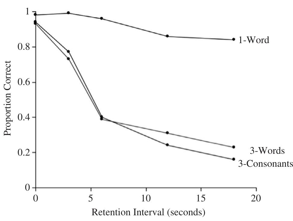 (PDF) Sensory and Working Memory