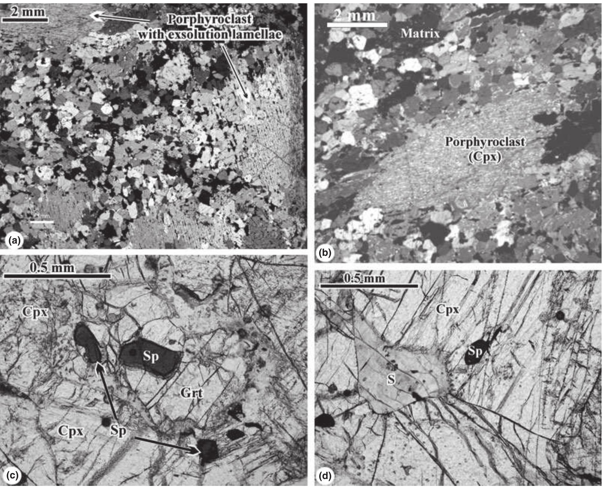 Pyroxene Exsolution Stranded (PDF) Garnet exsolution in pyroxene from clinopyroxenites in the ...