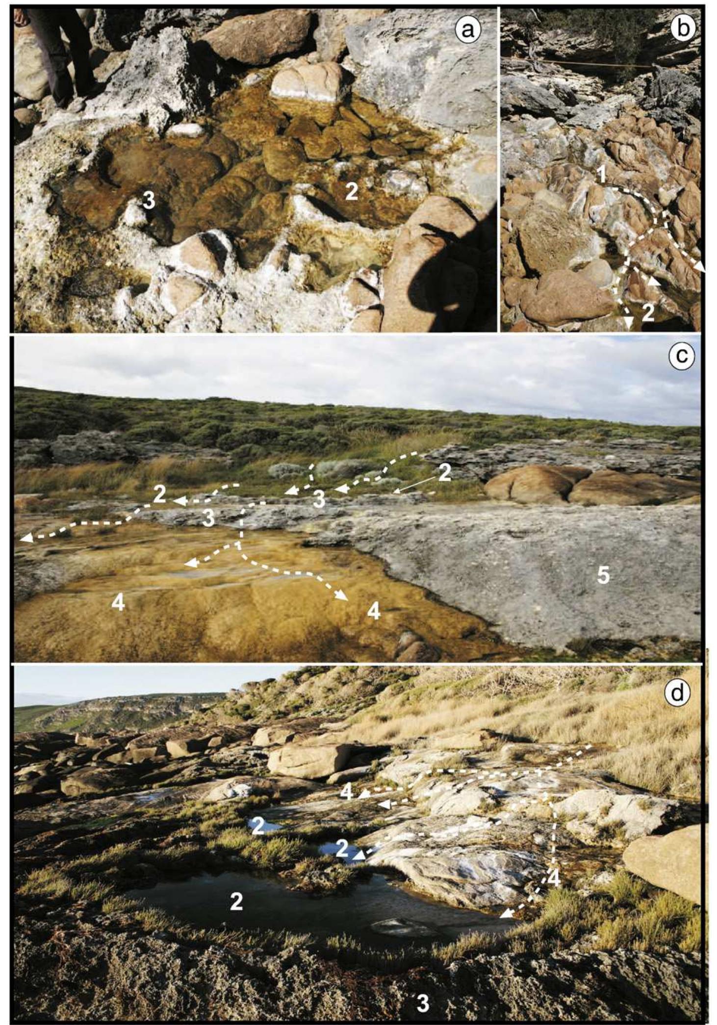 Con Tos Spring (PDF) A characterisation of the coastal tufa deposits of south–west ...