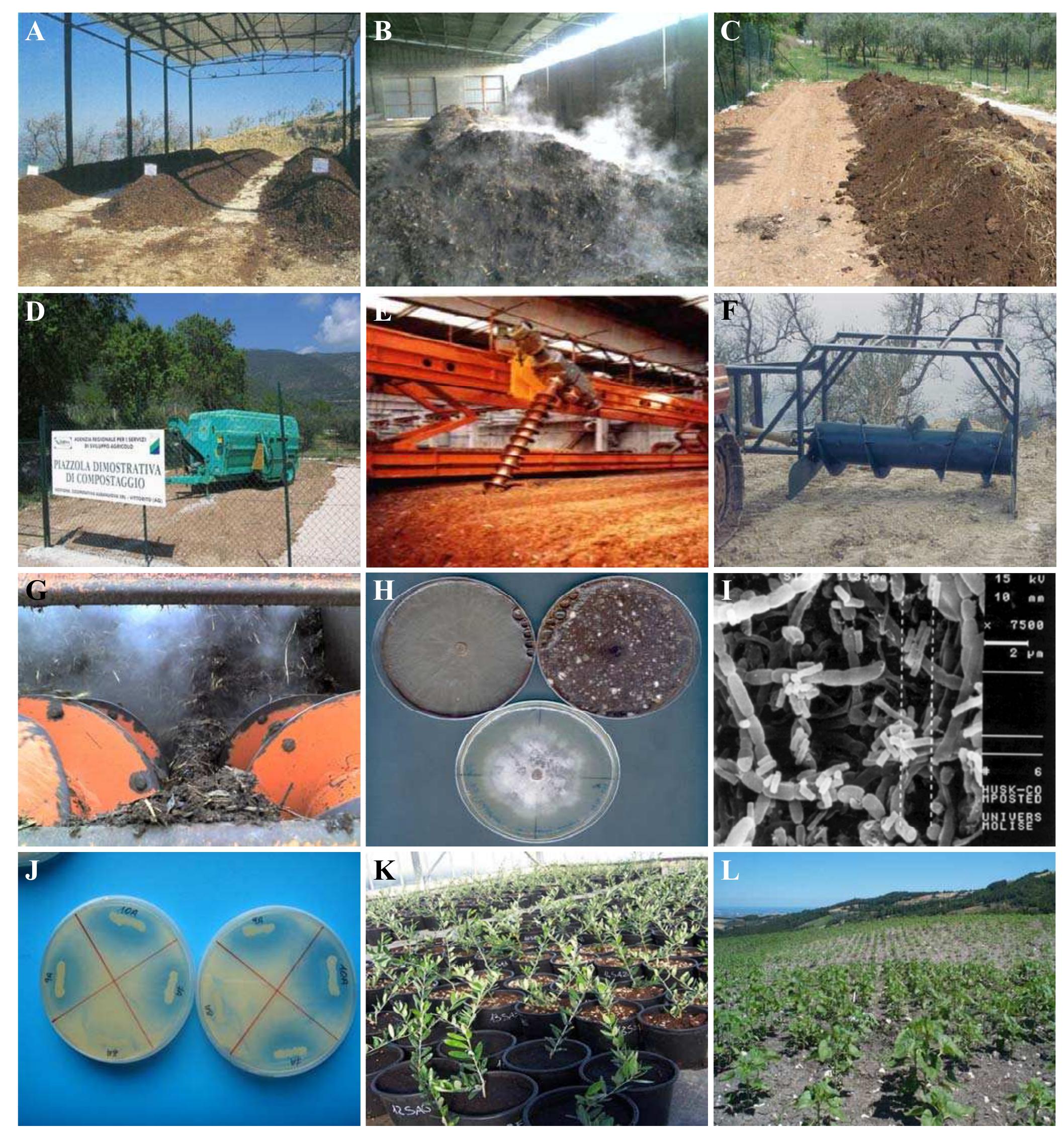 Observation Table Compost (PDF) Present and Future Perspectives of Olive Residues Composting in ...