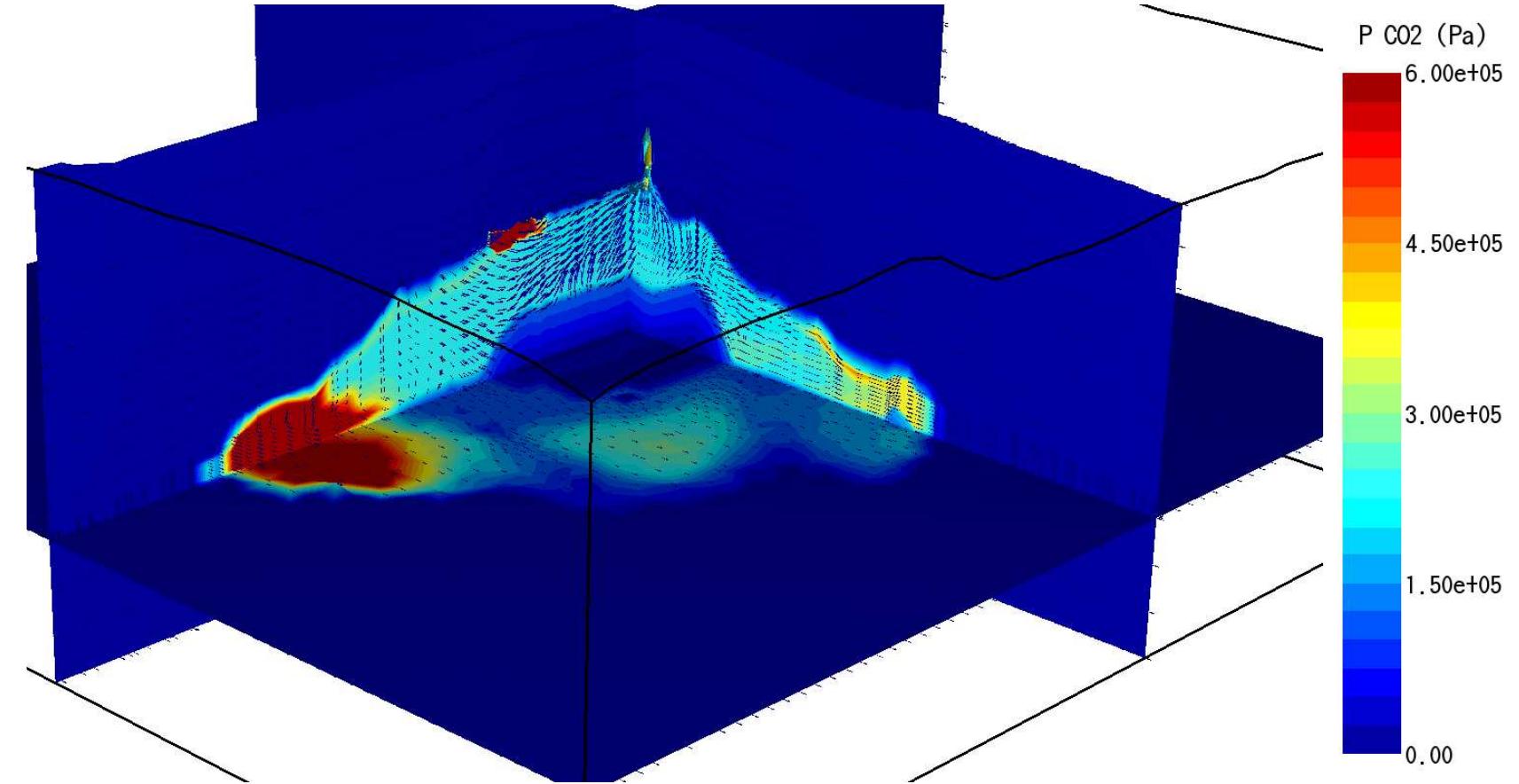 Figure 16: CO, partial pressure distribution with NCG mass flow vectors along an E-W section at 9977400 mN, a N-S section at 172700 mE, and a horizontal section at -300 m.a.s.1. 