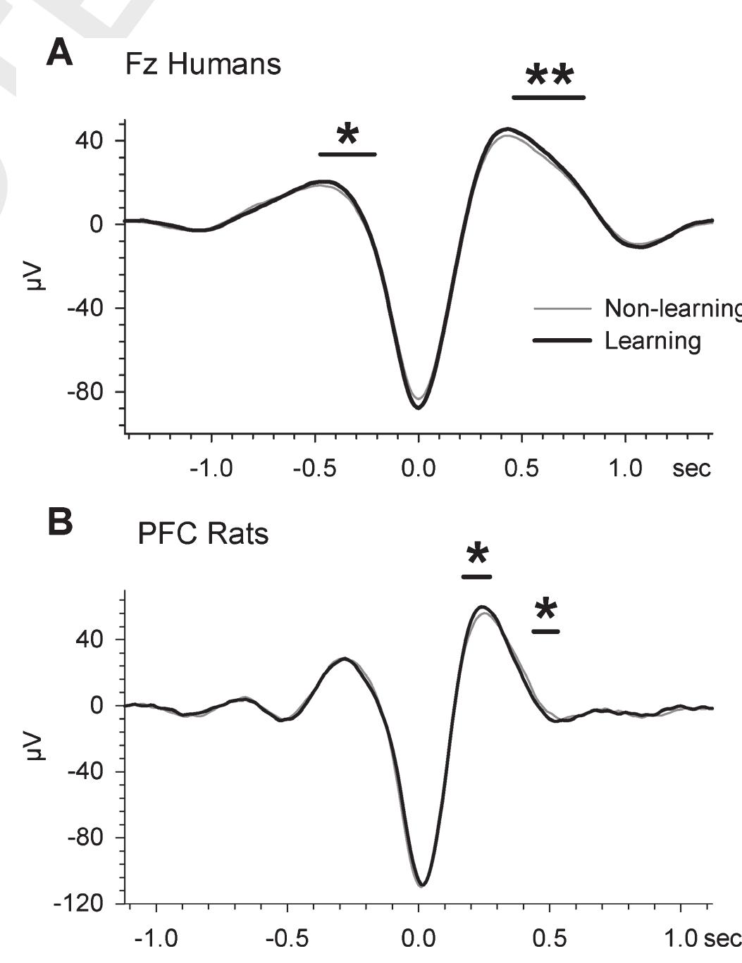 (PDF) The influence of learning on sleep slow oscillations and ...