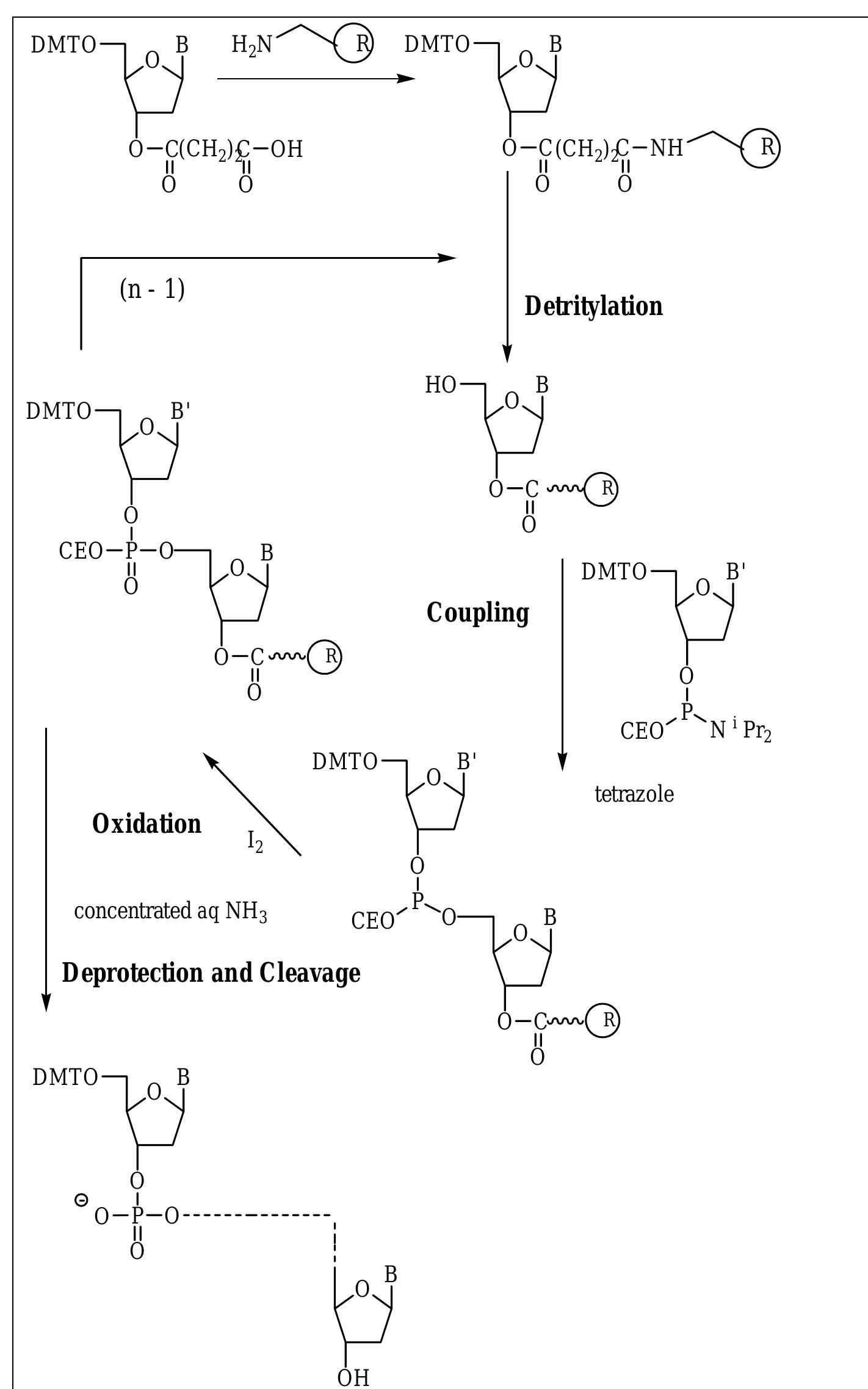 Figure 1 - from Solid-Phase Synthesis of Modified