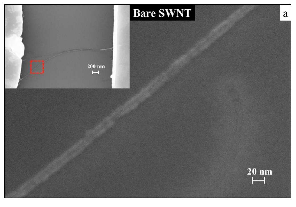 Figure 4 - from Single-Walled Carbon