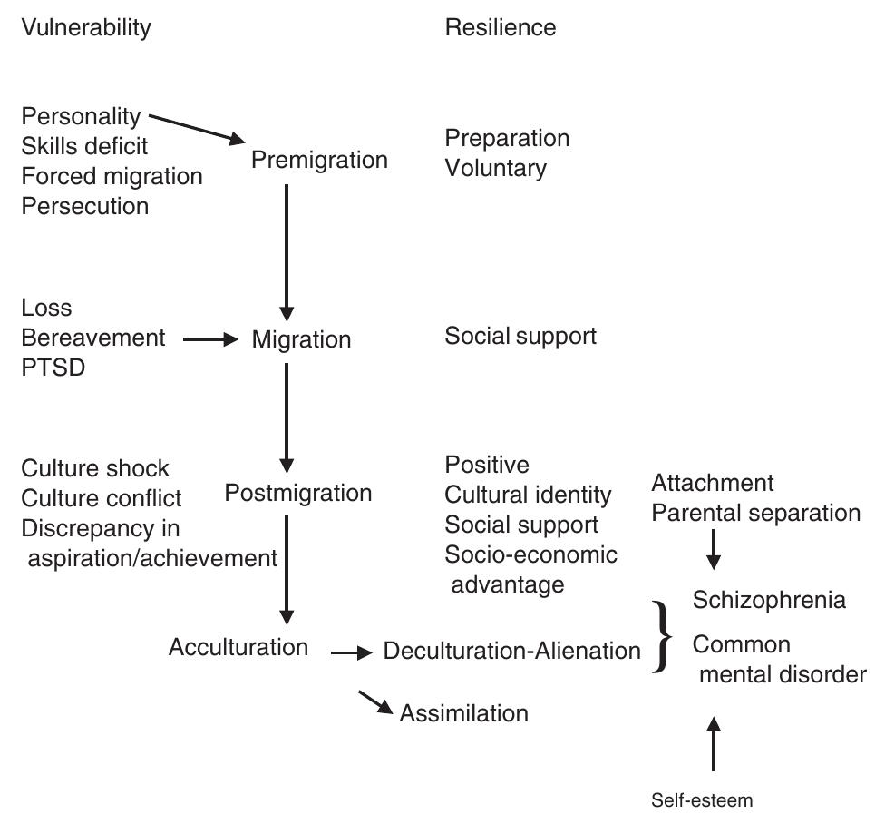 (PDF) Migration and mental health