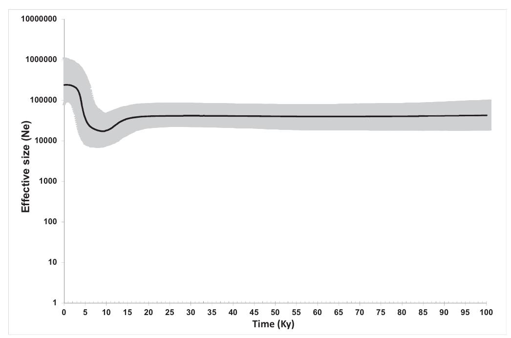 (PDF) Mitochondrial genomes from modern horses reveal the major ...