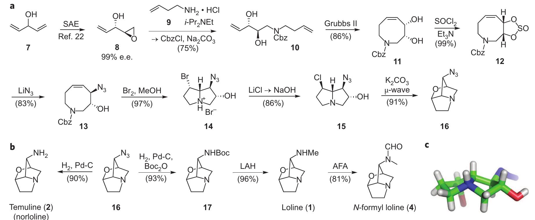(PDF) An efficient synthesis of loline alkaloids