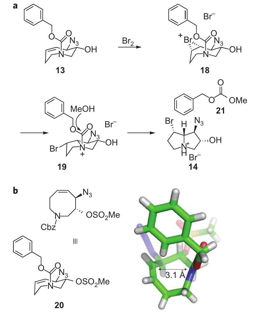(PDF) An efficient synthesis of loline alkaloids
