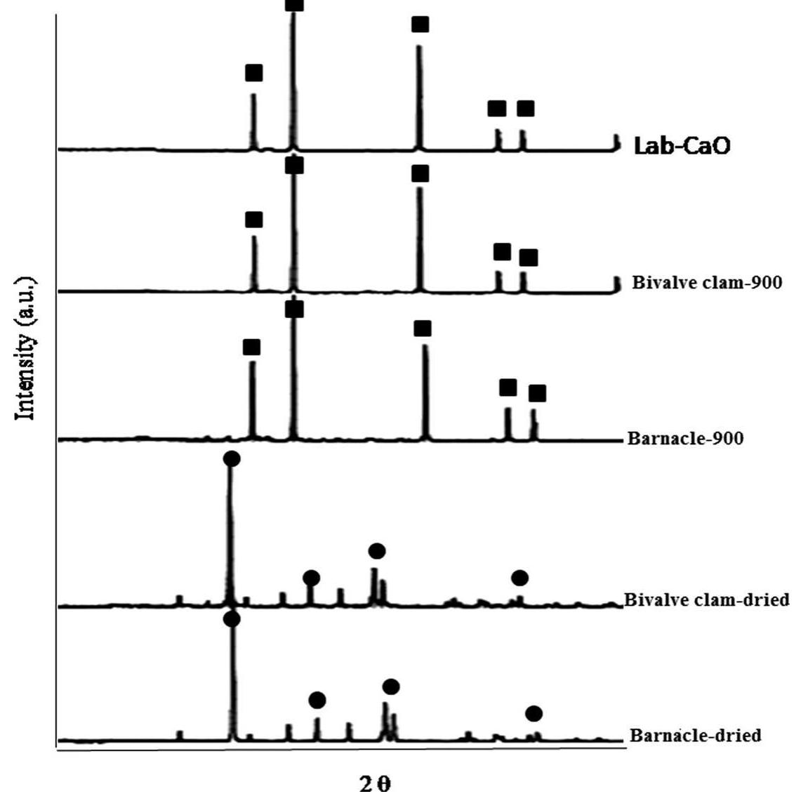 Powder x-ray diffraction (xrd) patterns of the shells