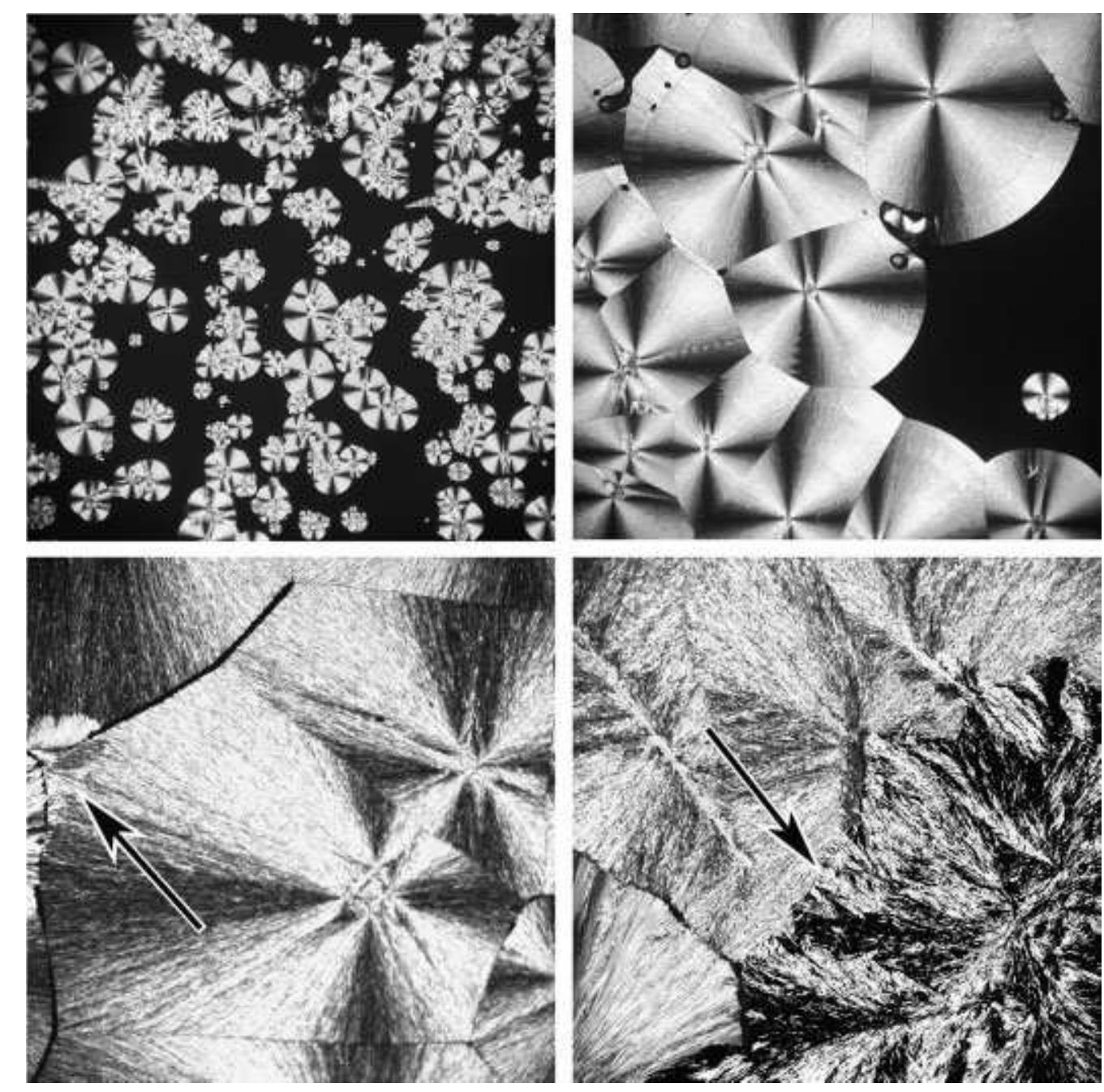 Figure 3 - from Crystallization pathways and kinetics of