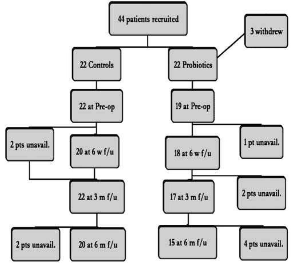 Randomization and follow-up flow chart.