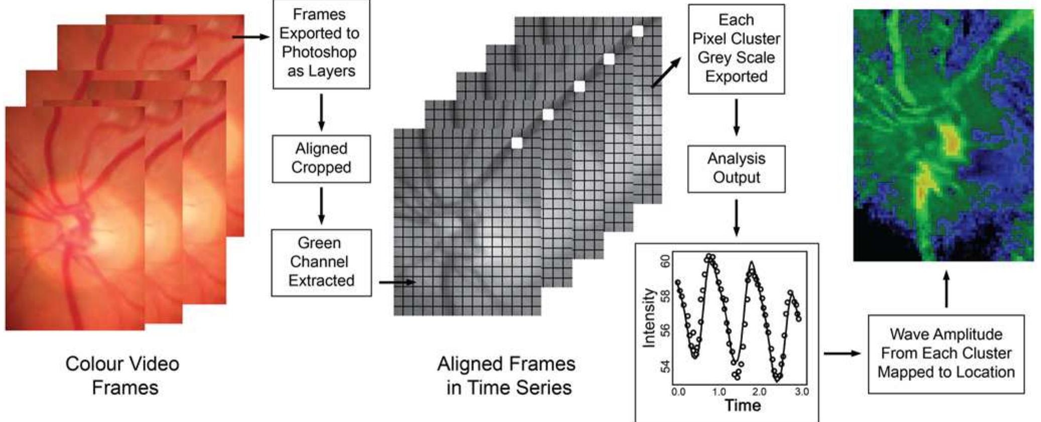 A diagram showing 2 cluster waveforms from different optic