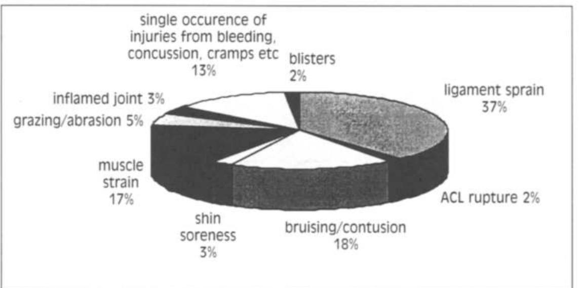 Netball Faults (PDF) A preliminary investigation of injury prevention strategies in ...