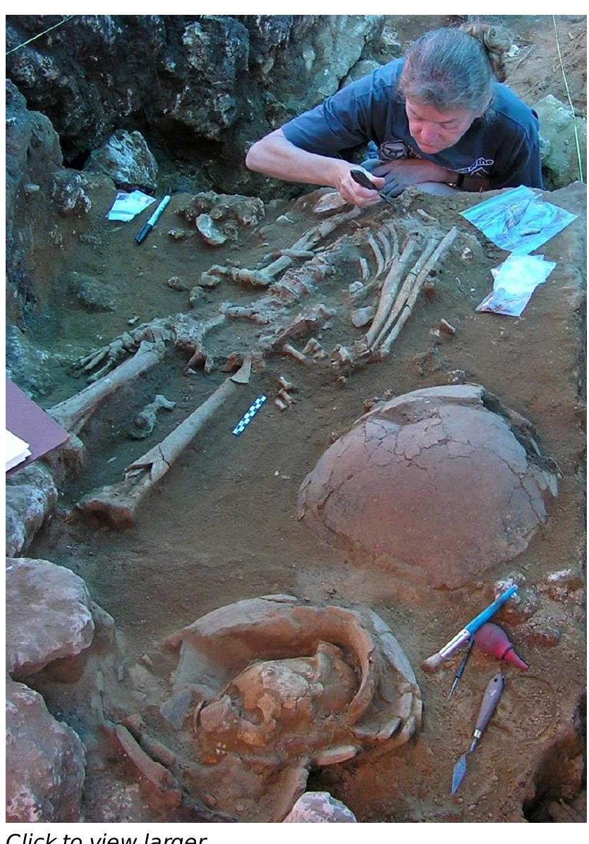 Lapita People matrix. This change might be argued as being commensurate both with increasingly depleted natural resources and the firm establishment of agricultural gardens with a shift to more reliance on garden produce for daily subsistence (Bedford 2006; Spriggs and Bedford 2001).This has been argued elsewhere as a component of a general colonizing strategy (Anderson 1996). 