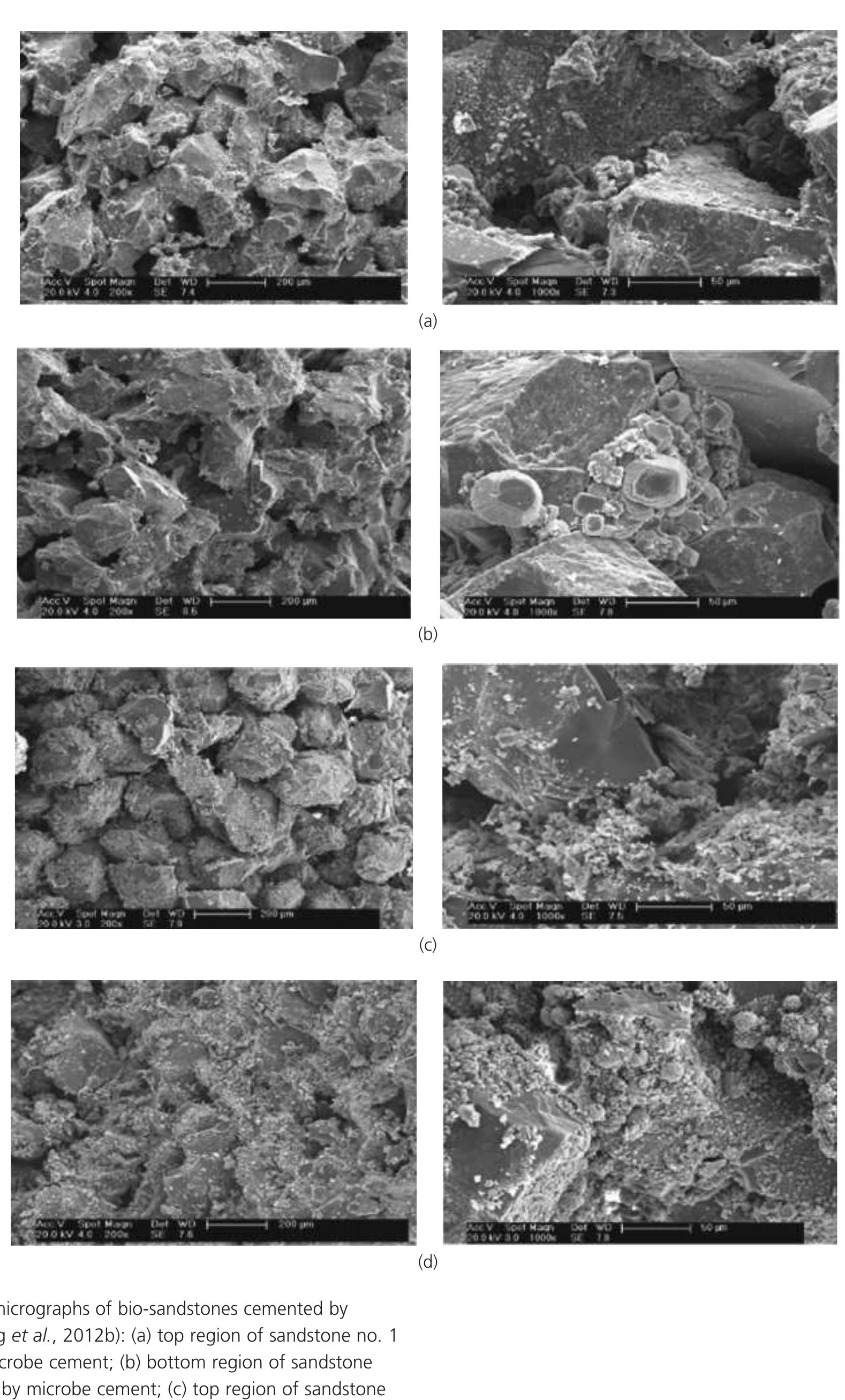 (PDF) Biocement recent research in construction engineering status of ...