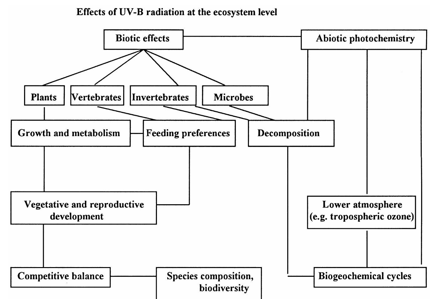 (PDF) Effects of increased solar ultraviolet radiation on materials