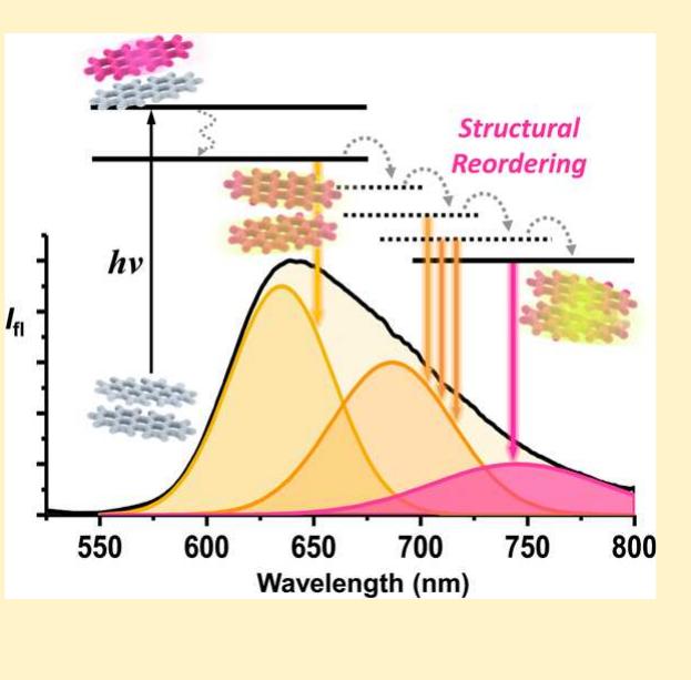 Schematic representation of proposed exciton dynamics in the