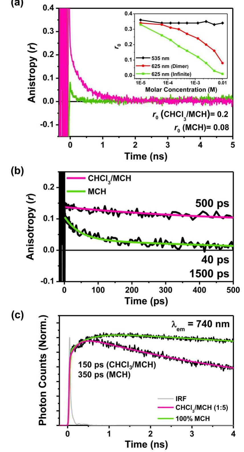 Schematic representation of proposed exciton dynamics in the