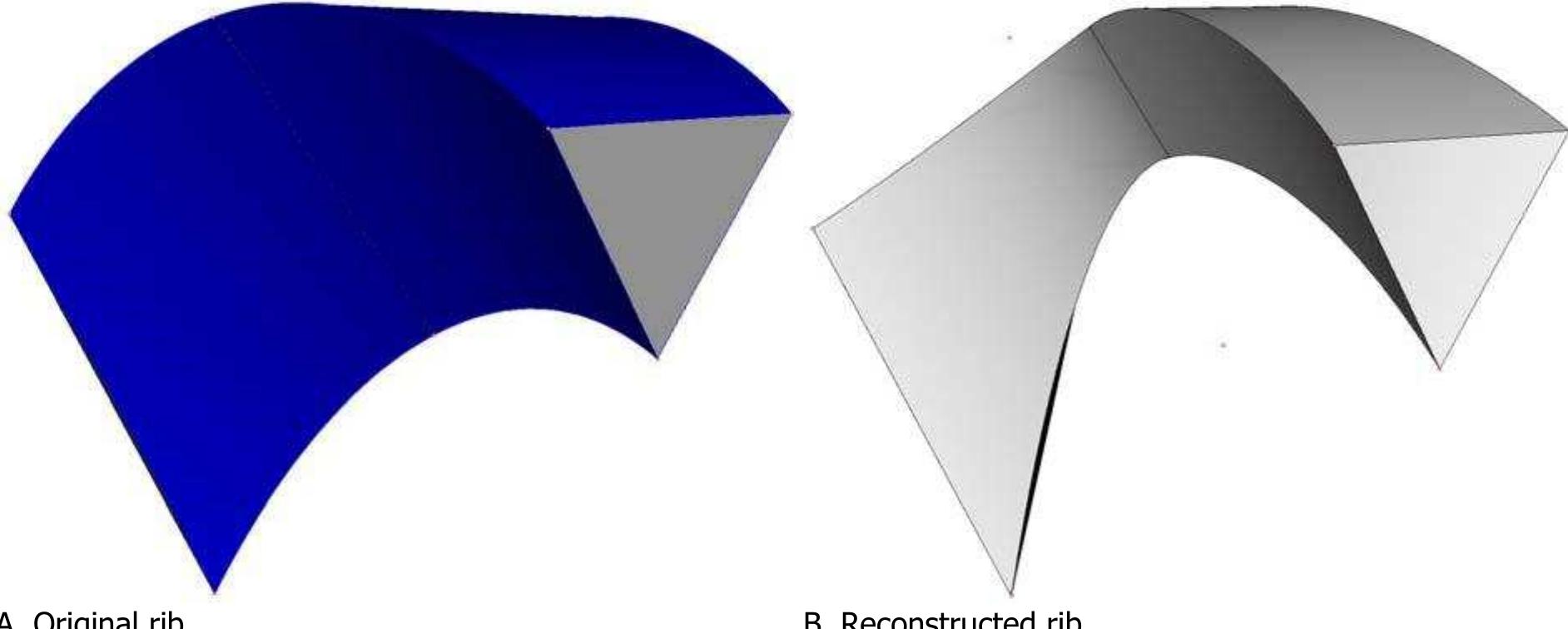 Curved Ribs Design Reconstruction of an original rib featuring curved