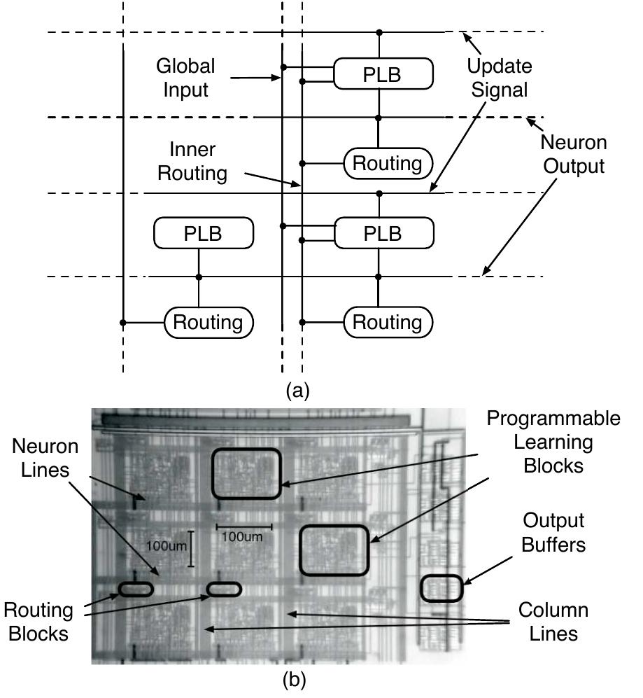 Figure 3 - from A reconfigurable VLSI learning array