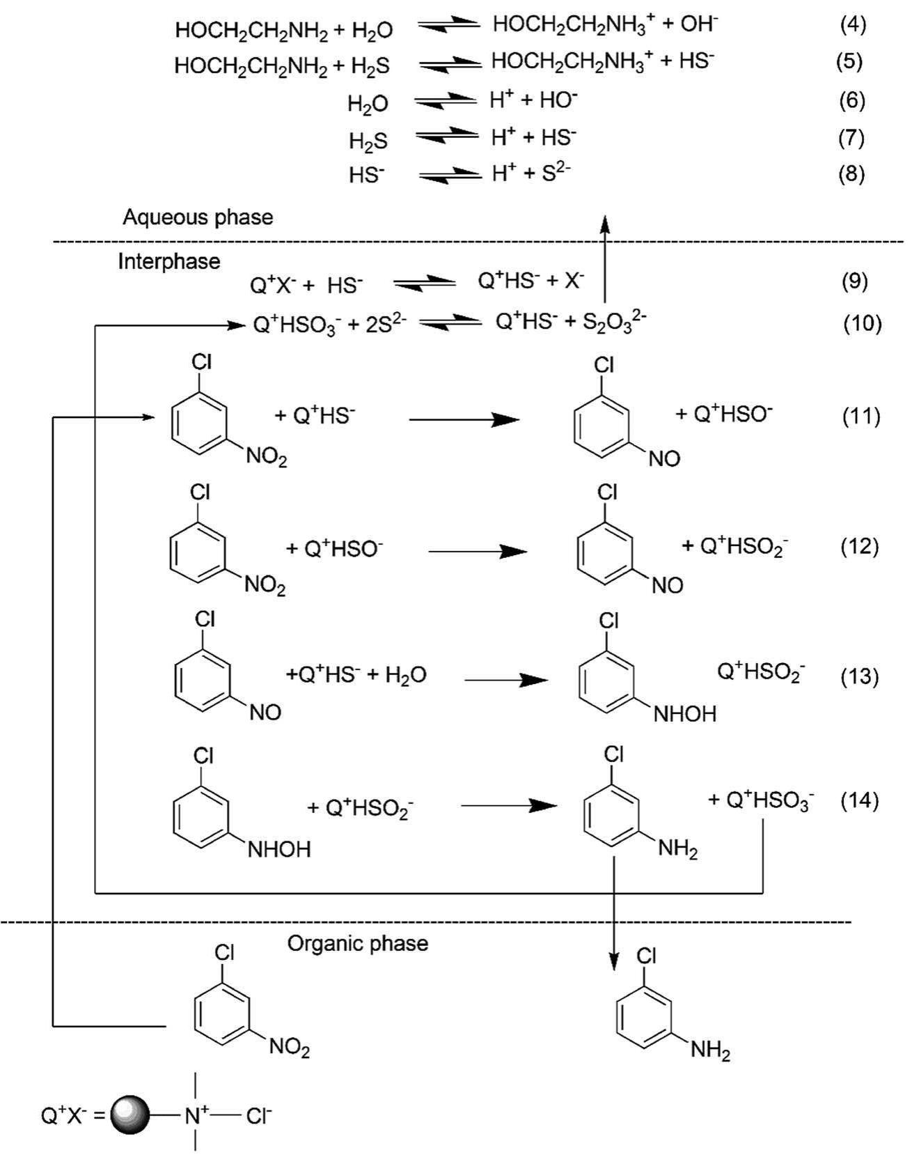 Proposed mechanism of reduction of m-cnb by h2s-laden mea