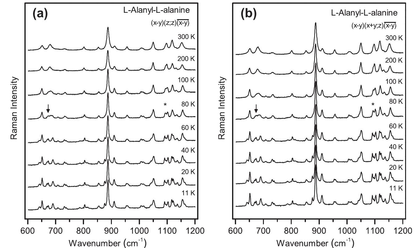 Raman spectra of ala-ala crystal in the 600-1200 cm“