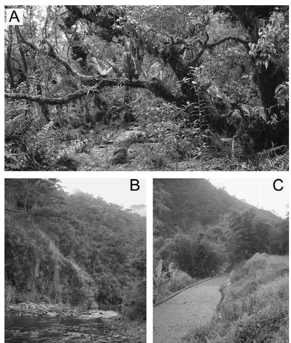 (PDF) Small mammal diversity along elevational gradients in the ...