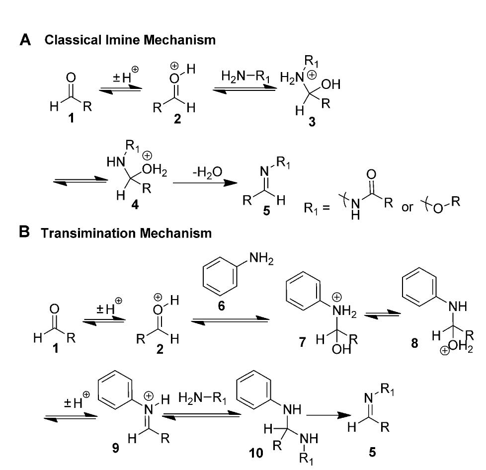 Figure 5 - from Insights into the Mechanism and Catalysis of