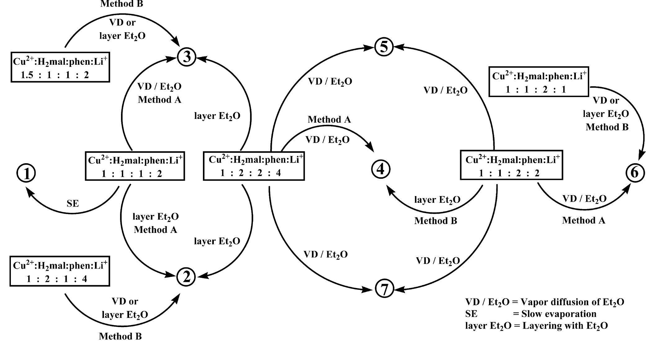 Diagram of the reaction pathways, showing the various